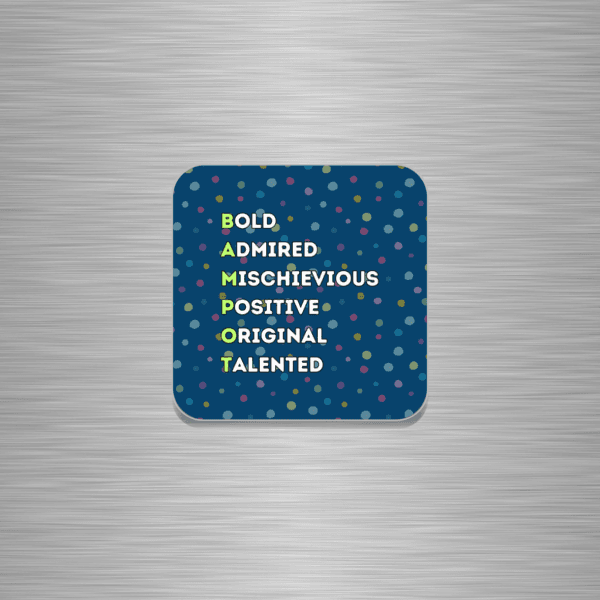 Bampot Word Play Funny Scottish Wooden Fridge Magnet
