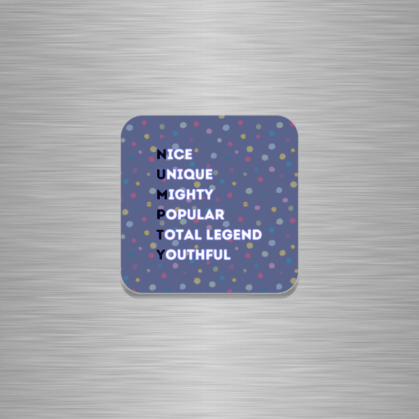 Numpty Word Play Funny Wooden Fridge Magnet
